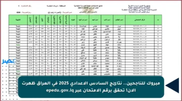 مبروك للناجحين.. نتائج السادس الإعدادي 2025 في العراق ظهرت الآن! تحقق برقم الامتحان عبر epedu.gov.iq